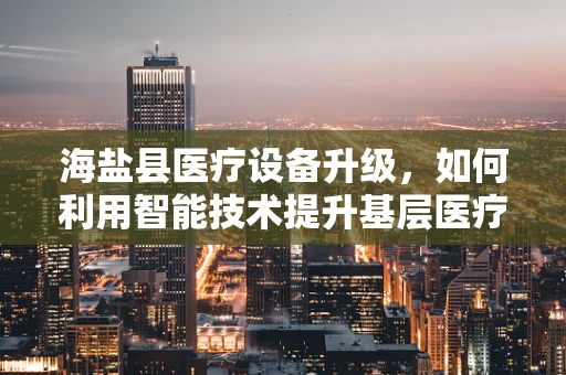 海盐县医疗设备升级，如何利用智能技术提升基层医疗服务？
