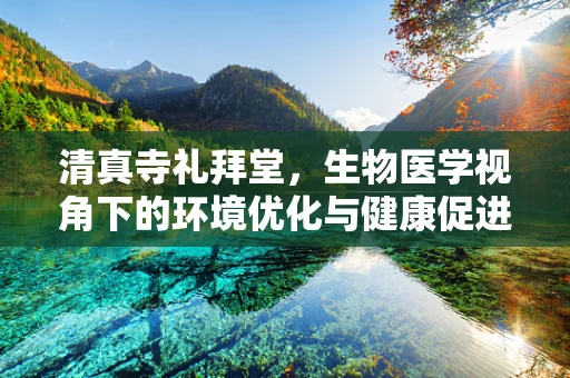清真寺礼拜堂，生物医学视角下的环境优化与健康促进