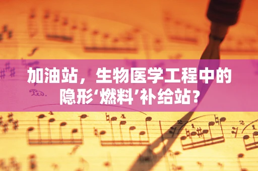 加油站，生物医学工程中的隐形‘燃料’补给站？