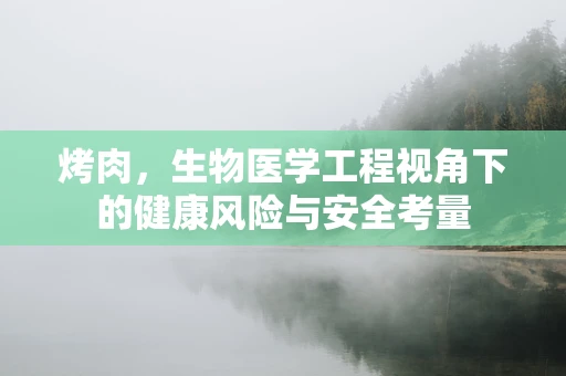 烤肉，生物医学工程视角下的健康风险与安全考量