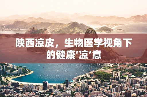 陕西凉皮，生物医学视角下的健康‘凉’意