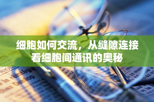 细胞如何交流，从缝隙连接看细胞间通讯的奥秘
