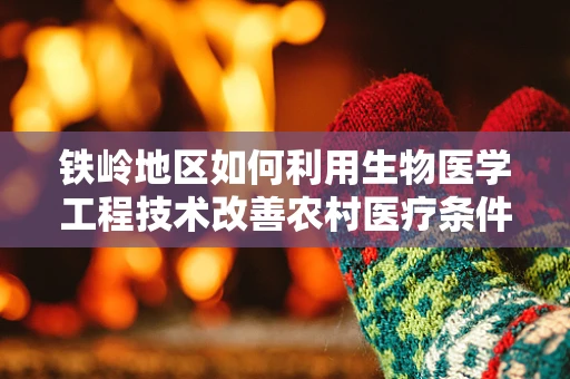 铁岭地区如何利用生物医学工程技术改善农村医疗条件？