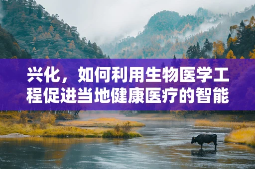 兴化，如何利用生物医学工程促进当地健康医疗的智能化升级？