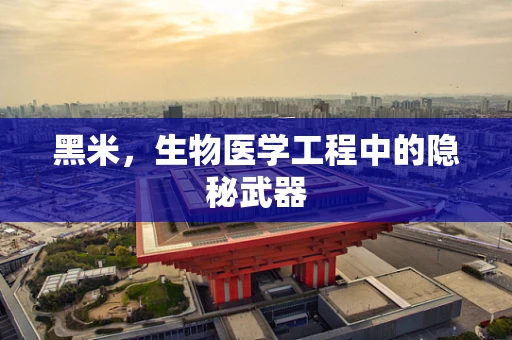 黑米，生物医学工程中的隐秘武器