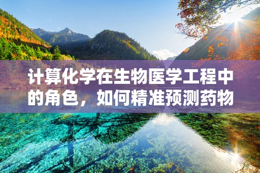 计算化学在生物医学工程中的角色，如何精准预测药物与生物分子的相互作用？