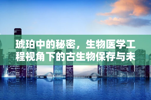 琥珀中的秘密，生物医学工程视角下的古生物保存与未来医疗应用