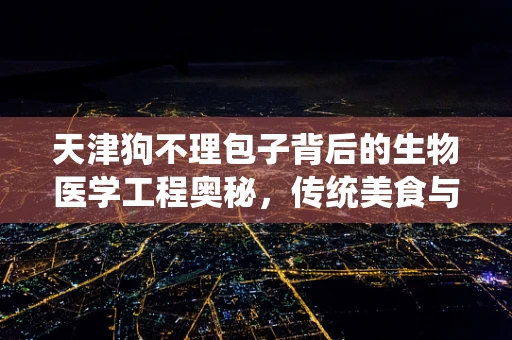 天津狗不理包子背后的生物医学工程奥秘，传统美食与现代科技的完美融合？