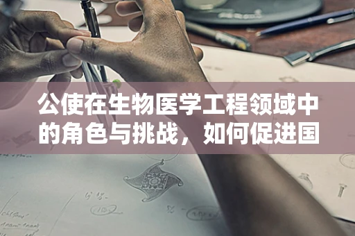 公使在生物医学工程领域中的角色与挑战，如何促进国际合作与技术创新？
