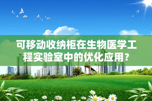 可移动收纳柜在生物医学工程实验室中的优化应用？
