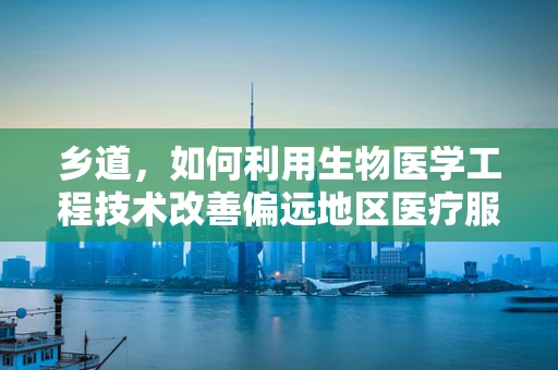乡道，如何利用生物医学工程技术改善偏远地区医疗服务可及性？