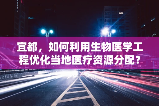 宜都，如何利用生物医学工程优化当地医疗资源分配？