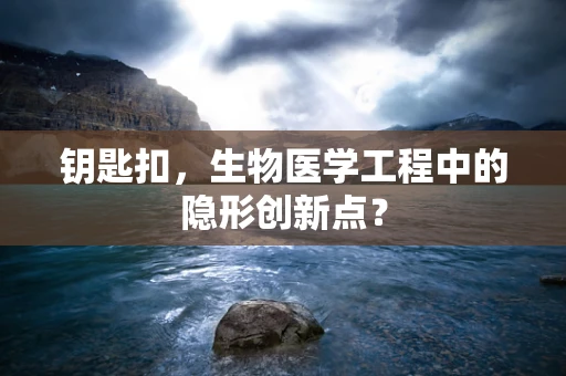 钥匙扣，生物医学工程中的隐形创新点？
