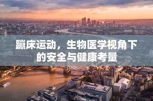 蹦床运动，生物医学视角下的安全与健康考量