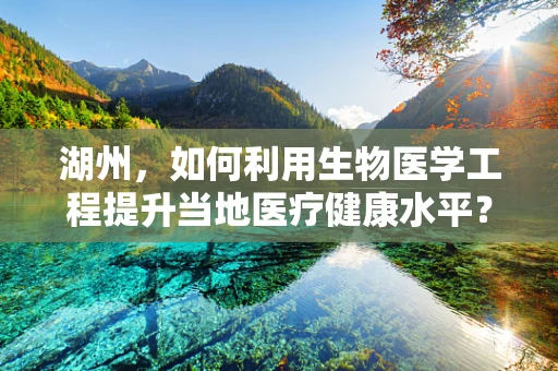 湖州，如何利用生物医学工程提升当地医疗健康水平？