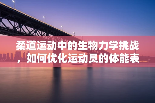 柔道运动中的生物力学挑战，如何优化运动员的体能表现？