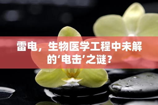 雷电，生物医学工程中未解的‘电击’之谜？