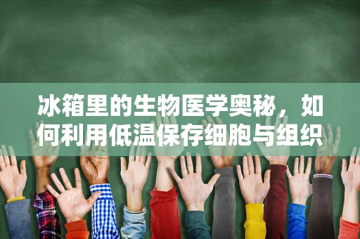 冰箱里的生物医学奥秘，如何利用低温保存细胞与组织？