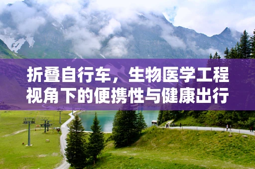 折叠自行车，生物医学工程视角下的便携性与健康出行新解