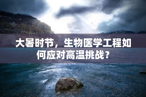 大暑时节，生物医学工程如何应对高温挑战？