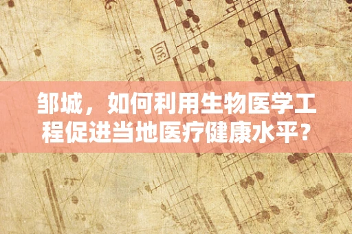 邹城，如何利用生物医学工程促进当地医疗健康水平？