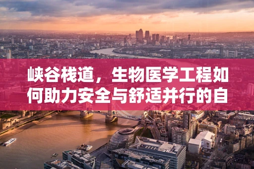 峡谷栈道，生物医学工程如何助力安全与舒适并行的自然探索？