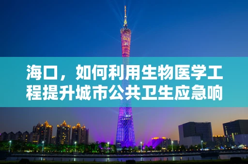 海口，如何利用生物医学工程提升城市公共卫生应急响应能力？