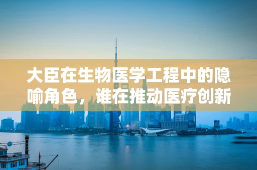 大臣在生物医学工程中的隐喻角色，谁在推动医疗创新的决策殿堂？