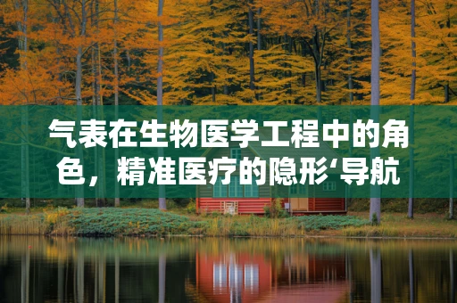 气表在生物医学工程中的角色，精准医疗的隐形‘导航员’？