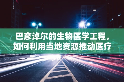 巴彦淖尔的生物医学工程，如何利用当地资源推动医疗创新？