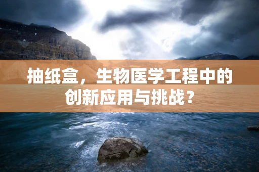 抽纸盒，生物医学工程中的创新应用与挑战？