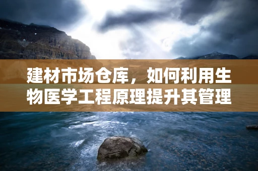建材市场仓库，如何利用生物医学工程原理提升其管理效率？