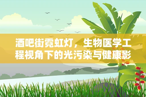酒吧街霓虹灯，生物医学工程视角下的光污染与健康影响
