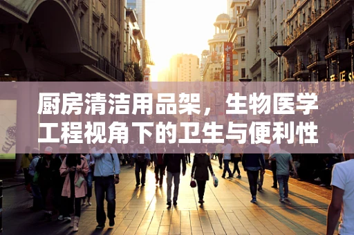 厨房清洁用品架，生物医学工程视角下的卫生与便利性平衡