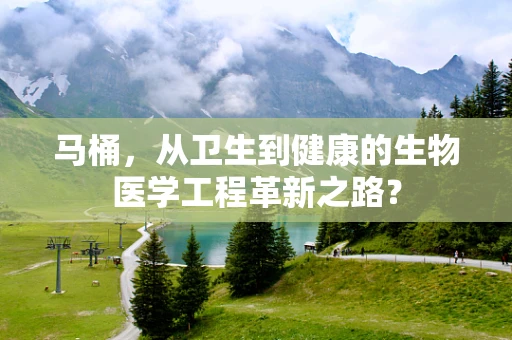 马桶，从卫生到健康的生物医学工程革新之路？