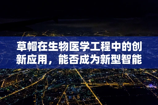 草帽在生物医学工程中的创新应用，能否成为新型智能穿戴设备？