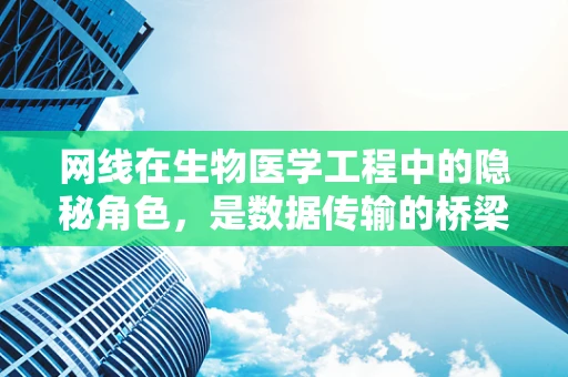 网线在生物医学工程中的隐秘角色，是数据传输的桥梁还是生物组织修复的钥匙？