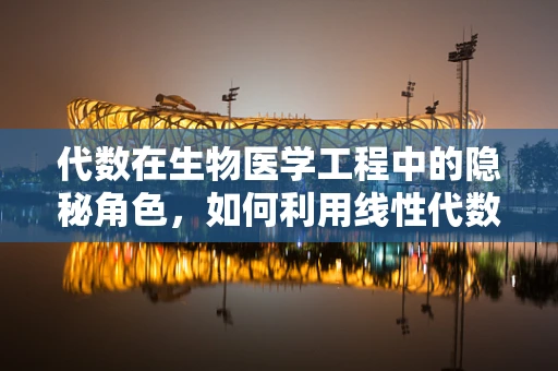 代数在生物医学工程中的隐秘角色，如何利用线性代数优化设备设计？
