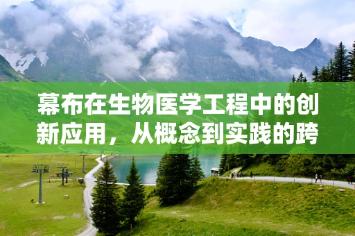 幕布在生物医学工程中的创新应用，从概念到实践的跨越