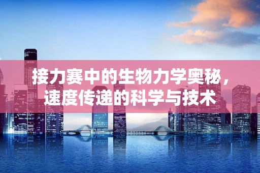 接力赛中的生物力学奥秘，速度传递的科学与技术