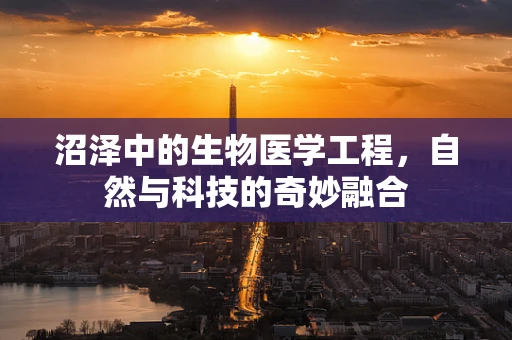 沼泽中的生物医学工程，自然与科技的奇妙融合