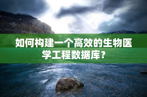 如何构建一个高效的生物医学工程数据库？