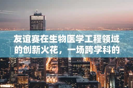 友谊赛在生物医学工程领域的创新火花，一场跨学科的思维碰撞