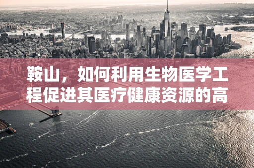 鞍山，如何利用生物医学工程促进其医疗健康资源的高效利用？