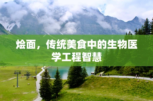 烩面，传统美食中的生物医学工程智慧