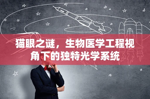 猫眼之谜，生物医学工程视角下的独特光学系统
