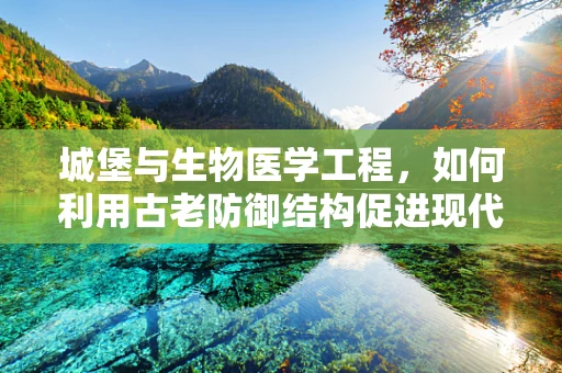 城堡与生物医学工程，如何利用古老防御结构促进现代医疗技术创新？