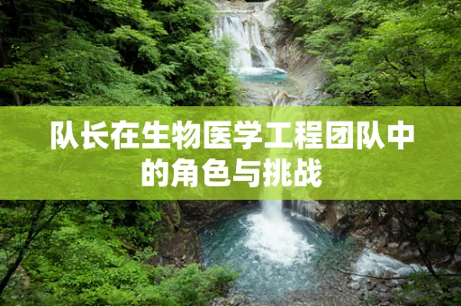 队长在生物医学工程团队中的角色与挑战