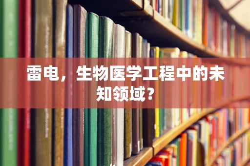 雷电，生物医学工程中的未知领域？