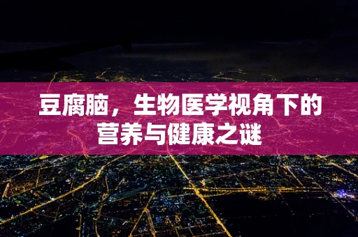豆腐脑，生物医学视角下的营养与健康之谜